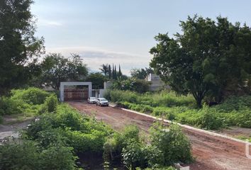 Lote de Terreno en  Calle San Ramón, San Francisco, Xochitepec, Morelos, 62790, Mex