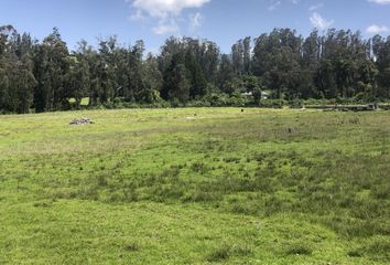 Terreno Comercial en  Pifo, Quito