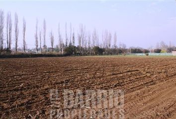 Parcela en  Colina, Chacabuco