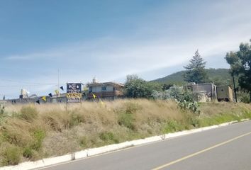 Lote de Terreno en  Tlaxco, Tlaxcala