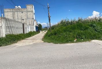 Lote de Terreno en  San Lorenzo Tepaltitlán Centro, Toluca