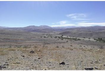 Parcela en  La Higuera, Elqui