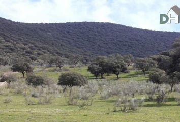 Terreno en  Cáceres, Cáceres Provincia