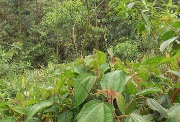 Terreno Comercial en  X62f+gw7, San Carlos, Ecuador