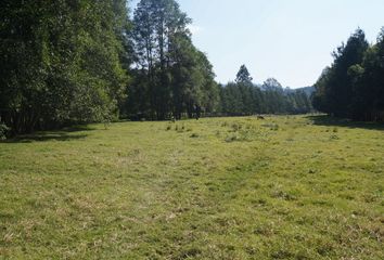 Rancho en  La Candelaria, Valle De Bravo