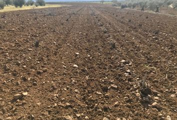 Terreno en  Santa Marta De Los Barros, Badajoz Provincia