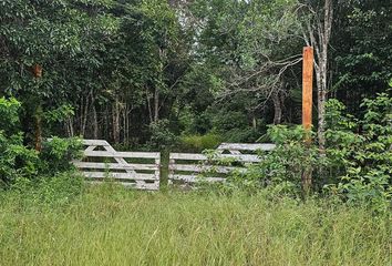 Lote de Terreno en  Felipe Carrillo Puerto Centro, Felipe Carrillo Puerto, Quintana Roo