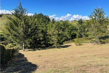 Lote de Terreno en  El Carmen De Viboral, Antioquia