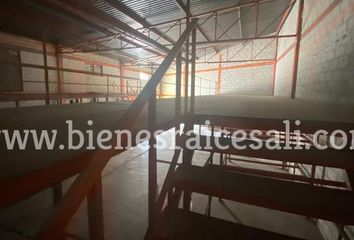 8 casas en renta en Piedras Negras 