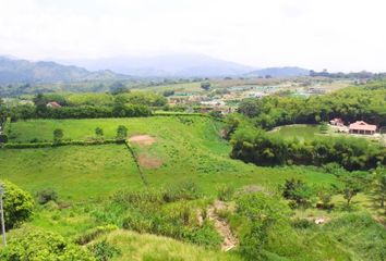 Lote de Terreno en  Los Alamos, Pereira