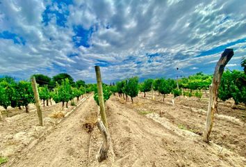 Terrenos en  Tunuyán, Mendoza