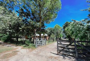 Quinta/Finca en  General Cerri, Partido De Bahía Blanca