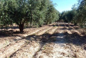 Terrenos en  Maipú, Mendoza