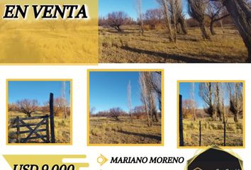 Terrenos en  Mariano Moreno, Neuquen Provincia