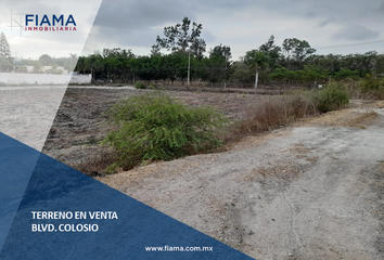 Lote de Terreno en  Tepic Centro, Tepic