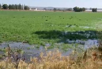 Lote de Terreno en  Purísima De Cubos, Colón, Querétaro, Mex