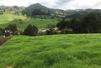 Lote de Terreno en  San Pedro De Los Milagros, Antioquia