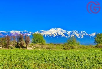 Terrenos en  Luján De Cuyo, Mendoza