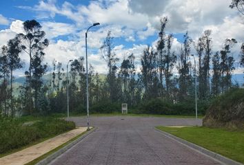 Terreno Comercial en  Av. Simón Bolívar, Quito, Ecuador