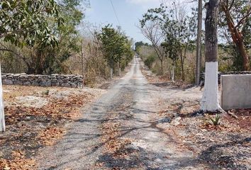 Lote de Terreno en  Mex-140, Palo Gacho, Emiliano Zapata, Veracruz De Ignacio De La Llave, 91633, Mex