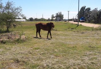 Terrenos en  Hucal, La Pampa