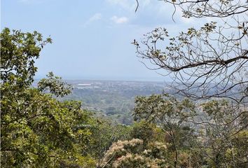 Lotes y Terrenos en  Pedregal, Ciudad De Panamá