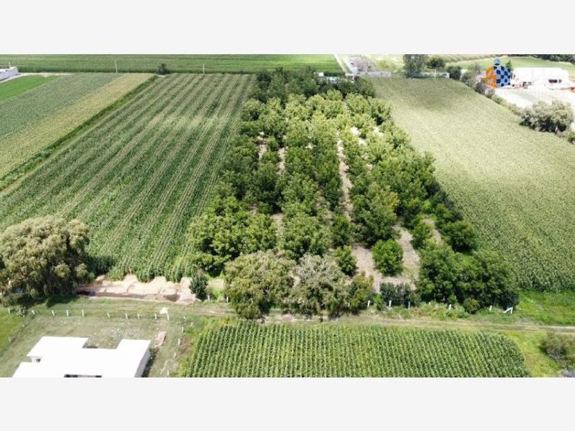 venta Lote de Terreno en Los Sauces, Durango, Municipio de Durango (MX22NR1552) icasas.mx