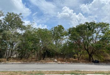 Lote de Terreno en  Forjadores, Solidaridad, Quintana Roo