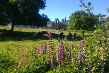 Terrenos en  Lago Puelo, Chubut