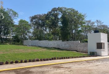 Lote de Terreno en  Palotal, Córdoba, Veracruz