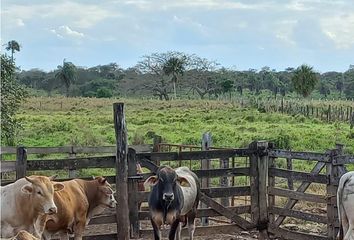 Lote de Terreno en  Hacienda El Cuyo, Tizimín