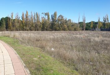 Terreno en  Aldeamayor De San Martin, Valladolid Provincia