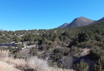 Lote de Terreno en  Arteaga, Arteaga, Arteaga, Coahuila