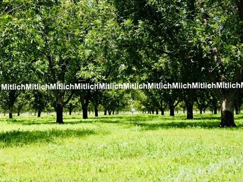 venta Rancho en Camargo, Chihuahua, Chihuahua (30557771) icasas.mx