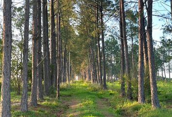 Terrenos en  Helvecia, Santa Fe