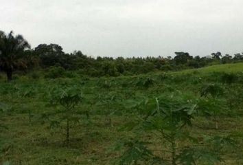 Terreno Comercial en  Guayaquil, Guayas