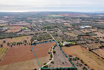 Terreno en  Salines (ses), Balears (illes)