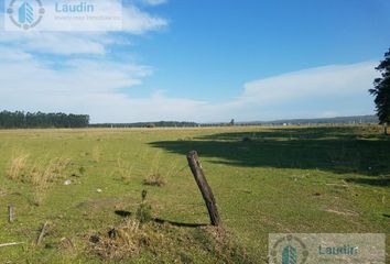 Terrenos en  Candelaria, Misiones