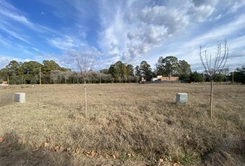 Terrenos en  General Pico, La Pampa