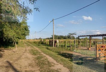 Terrenos en  Colonia Benitez, Chaco