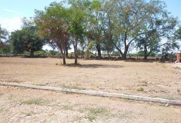 Lote de Terreno en  Las Lagunas, Villa De Álvarez