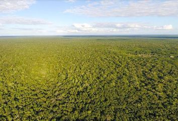 Lote de Terreno en  Coba, Tulum