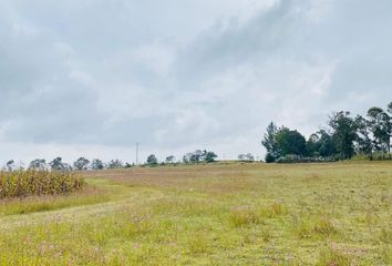 Lote de Terreno en  Amealco De Bonfil, Querétaro, Mex