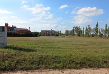 Terrenos en  Río Cuarto, Córdoba