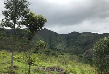 Terreno Comercial en  Vilcabamba (victoria), Loja