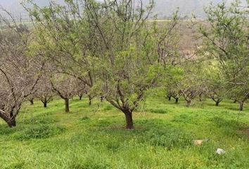 Parcela en  Curacaví, Melipilla