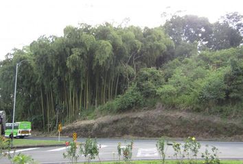 Lote de Terreno en  La Romelia Alta Y Baja, Dosquebradas