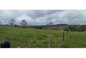 Lote de Terreno en  Génova, Quindío