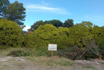 Terrenos en  Otro, Partido De Tres Arroyos