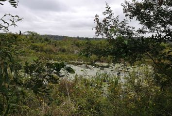 Lote de Terreno en  Kantunil, Yucatán, Mex